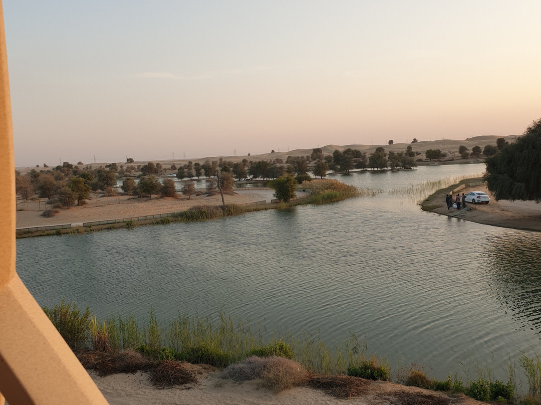 Al Qudra Lake景点图片