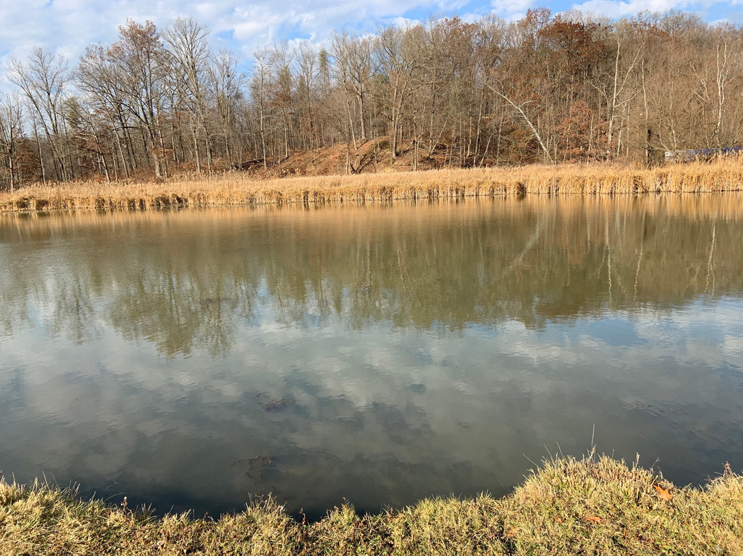 Virginia Kendall Park