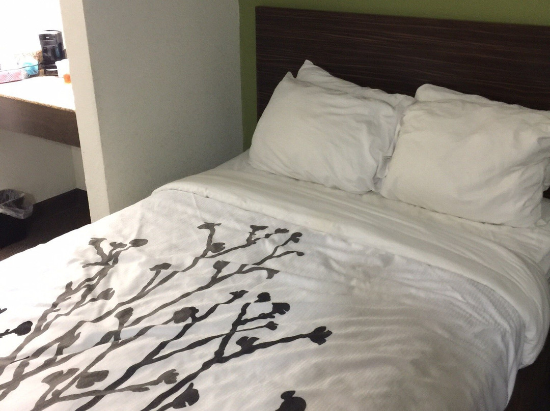 Clarion Pointe主图