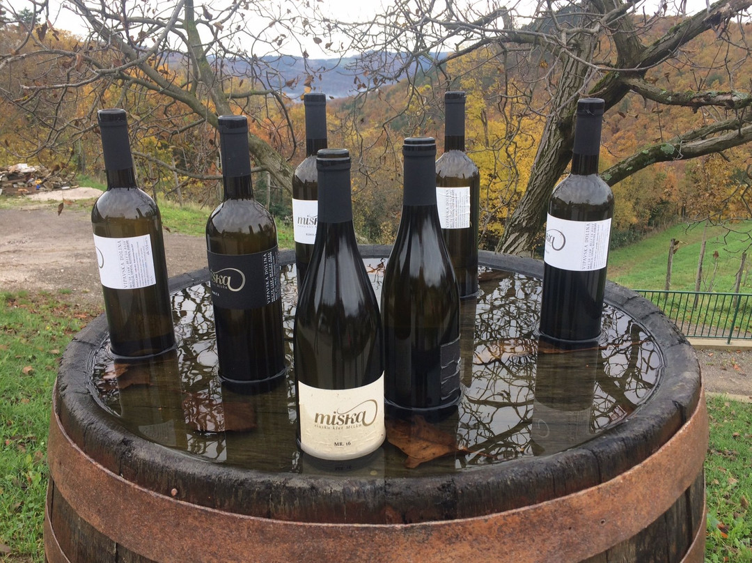 Miska Wine Cellar-Vipava必去景点