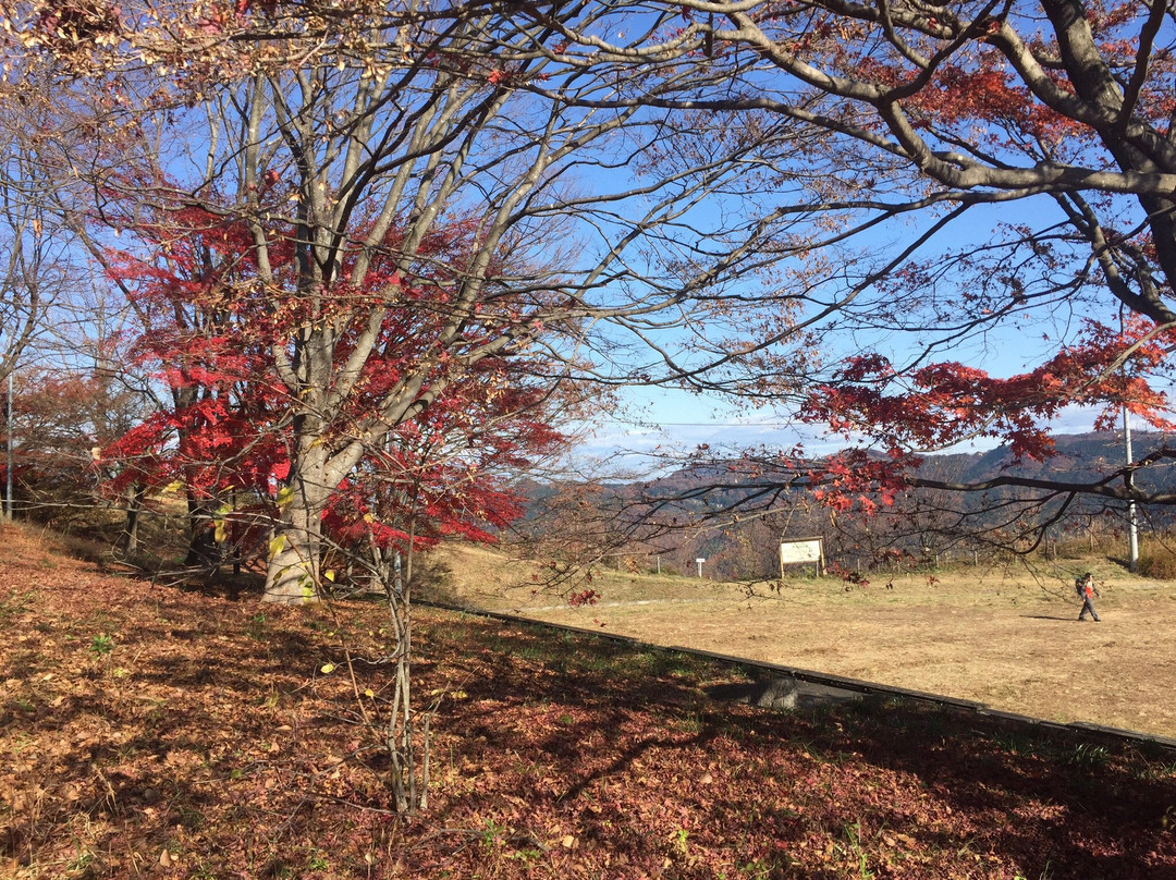 Minoyama Park-皆野町必去景点
