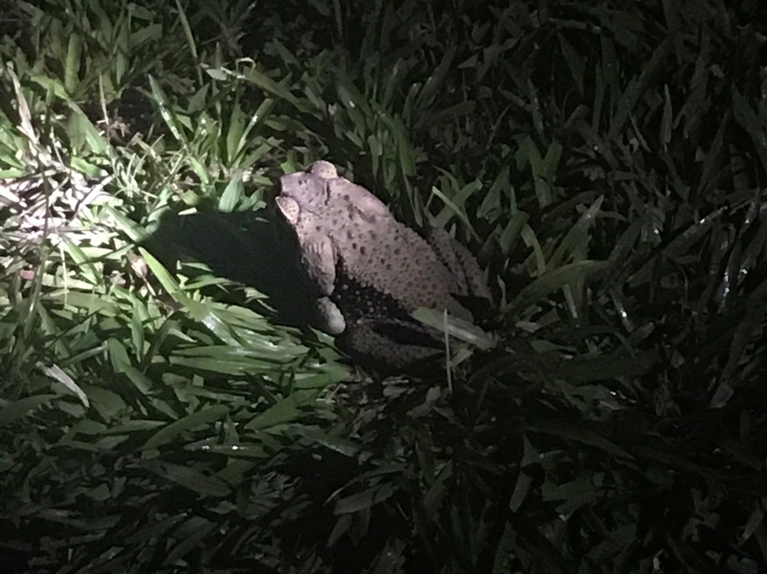 Albergue La Laguna主图