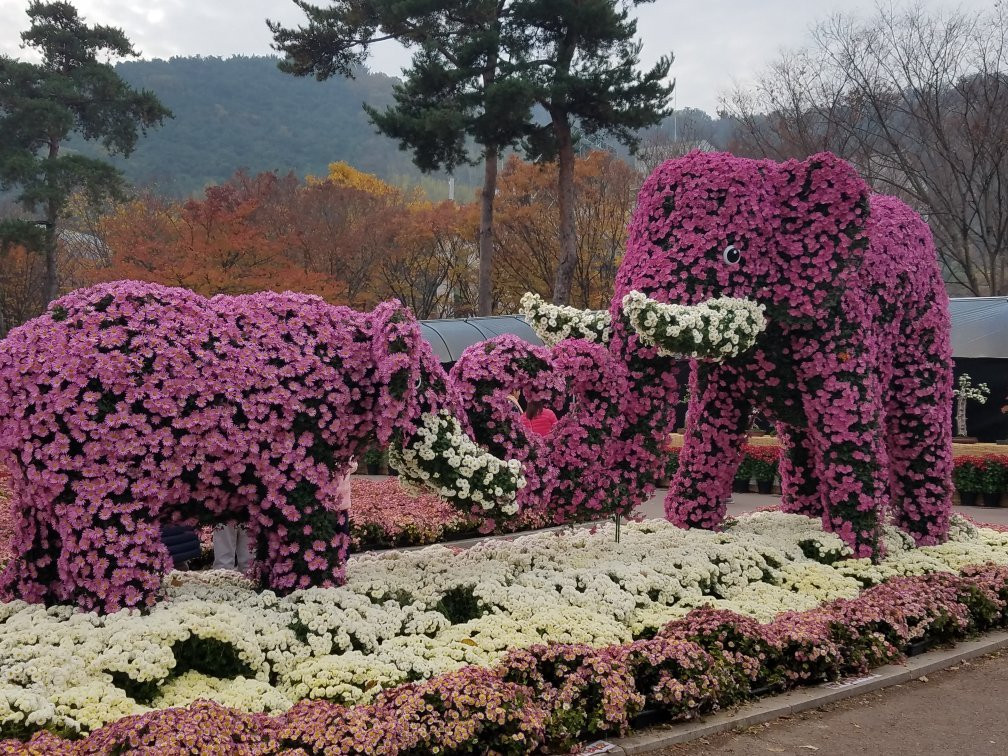 Daegu Arboretum-大邱必去景点