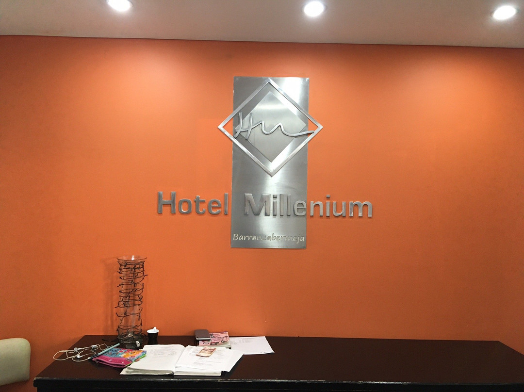 Hotel Millenium主图