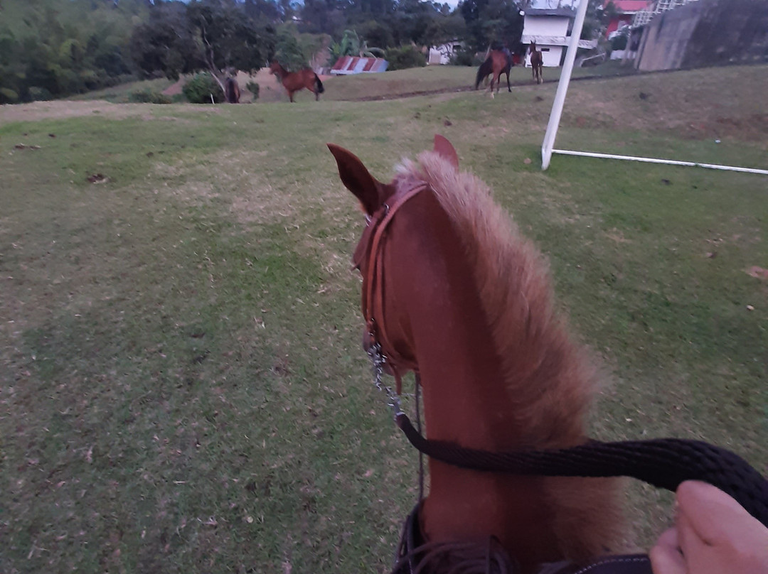 Mondomo旅游攻略图片