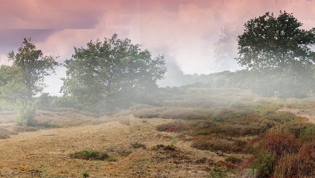 The Nature Game-Spier必去景点