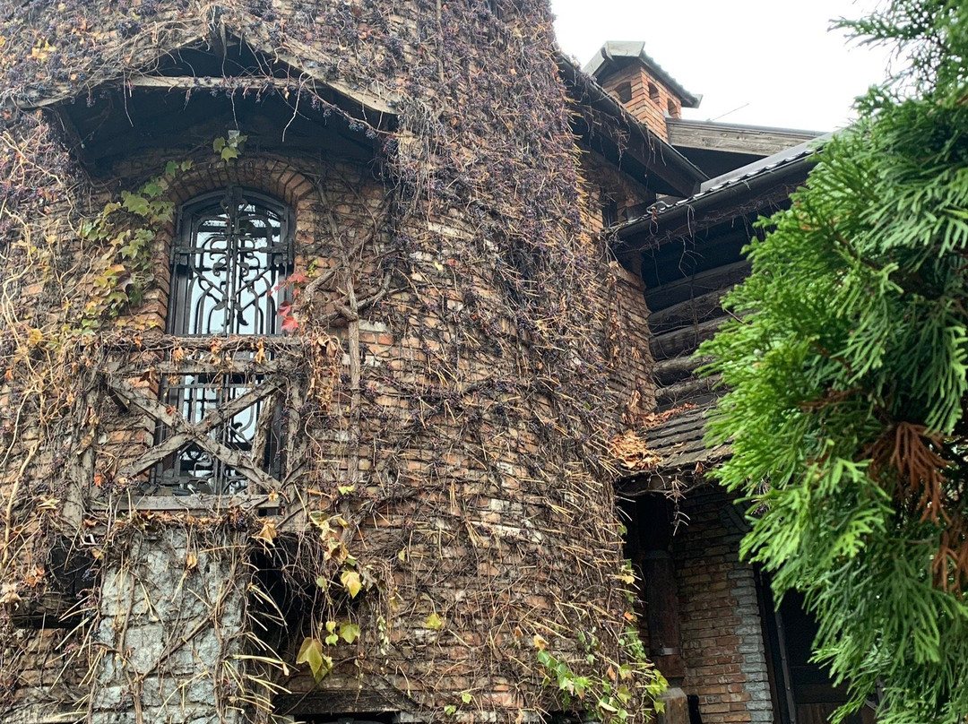 Raikomovskaya Hotel主图