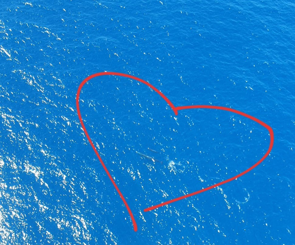 F.air-加勒必去景点