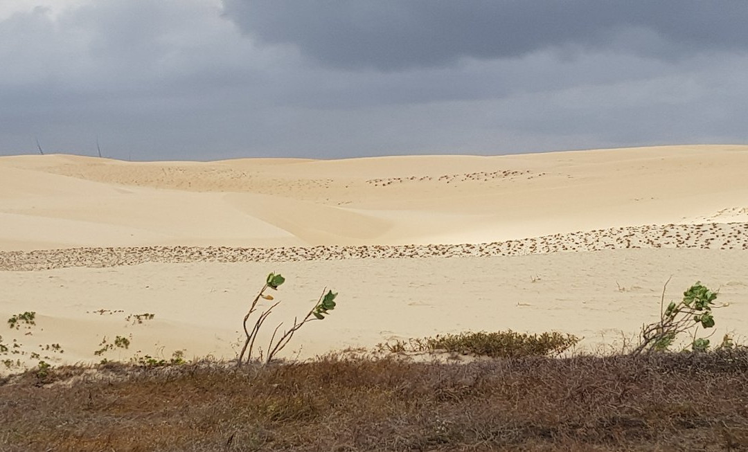 Beach Wind Dunas Hotel主图