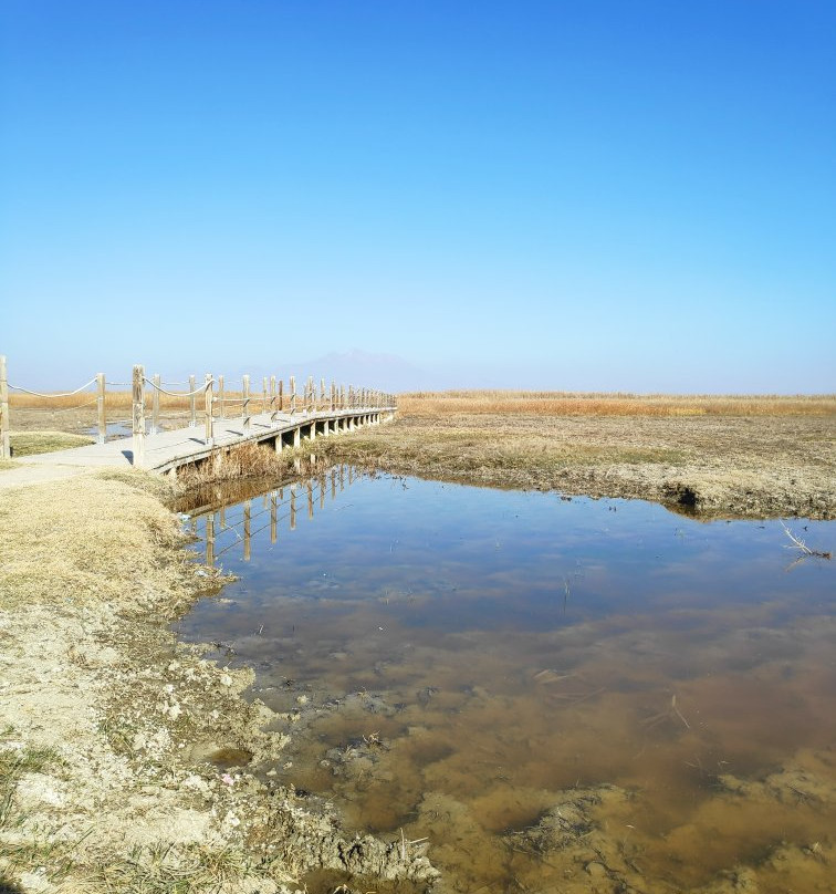 Sultansazlıgi Milli Parki-Yesilhisar必去景点