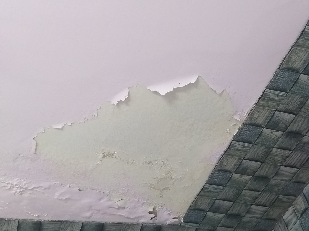 OYO 28187 Hotel Potala主图