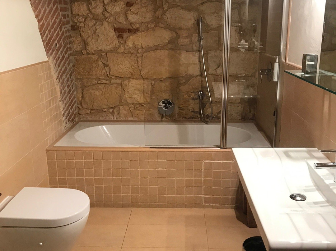 Delser Manor House Hotel主图