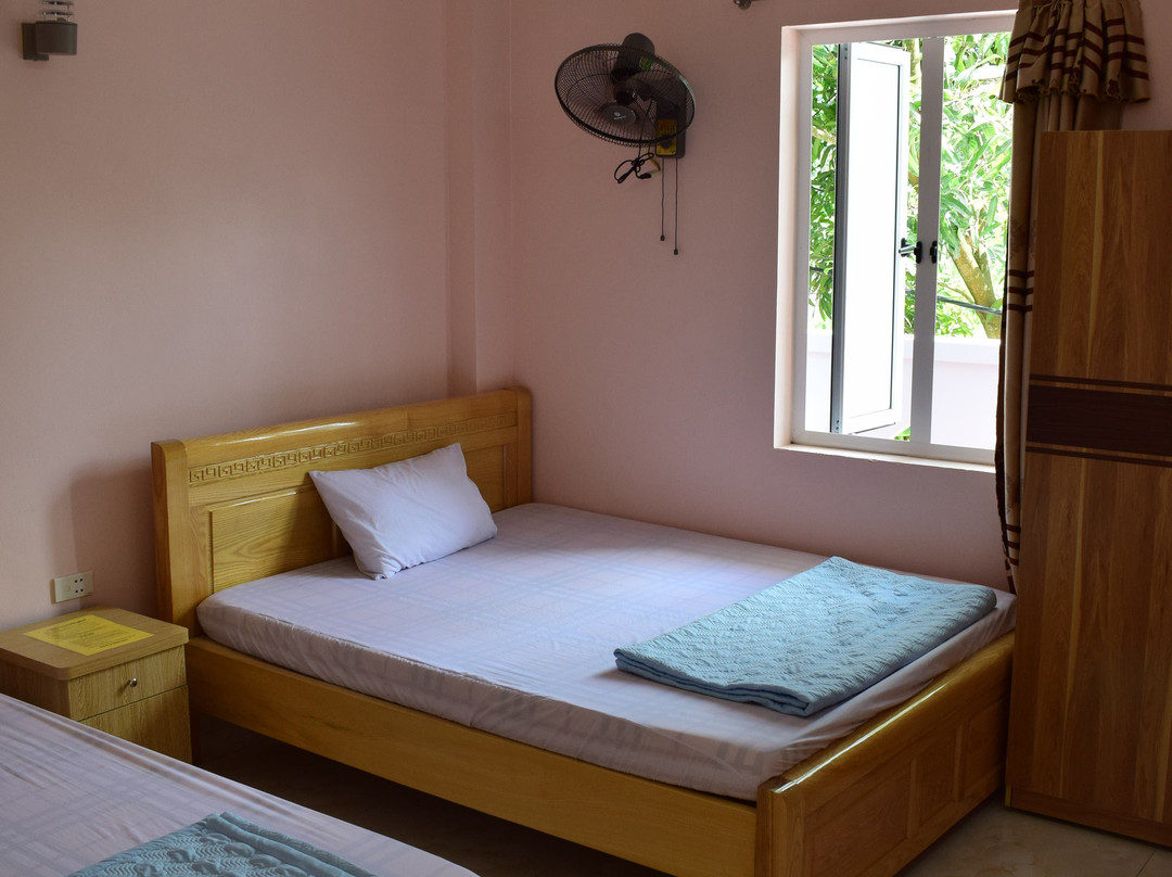 Cat Ba Sweet Potato主图