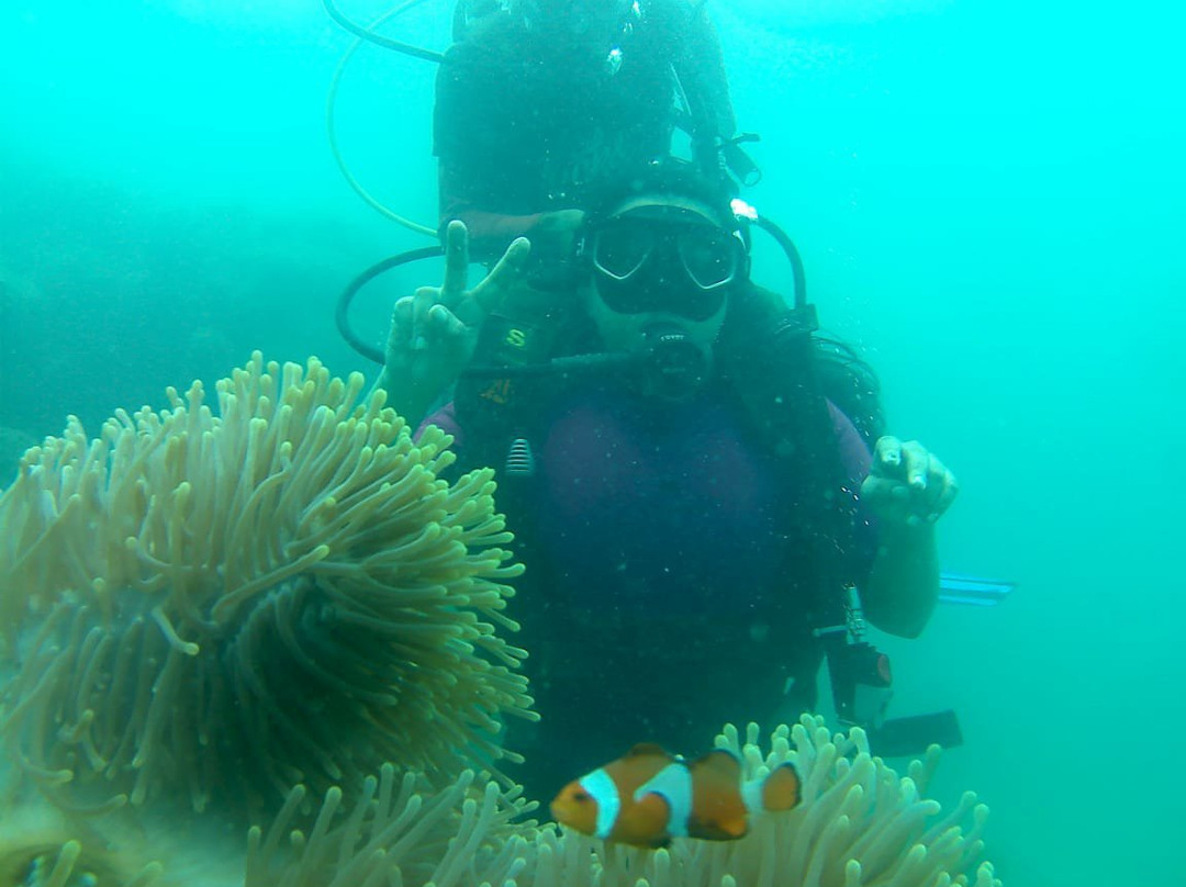 Havelock Divers-哈夫洛克岛必去景点