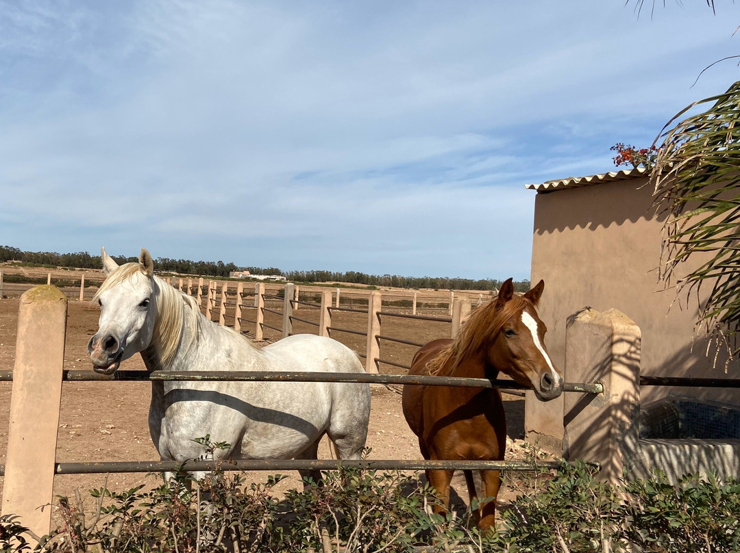 Koheilan Oriental Lodge Farm主图