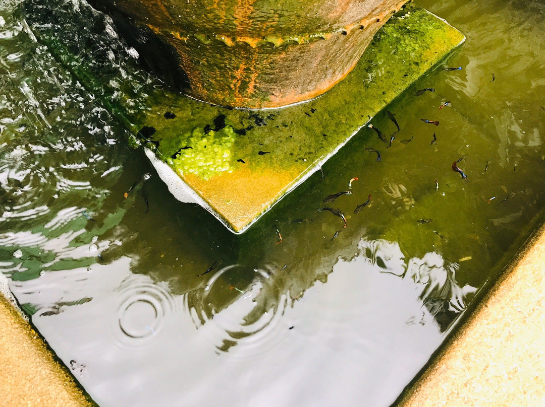 Deep Relax Spa Thailand-呈塔累必去景点