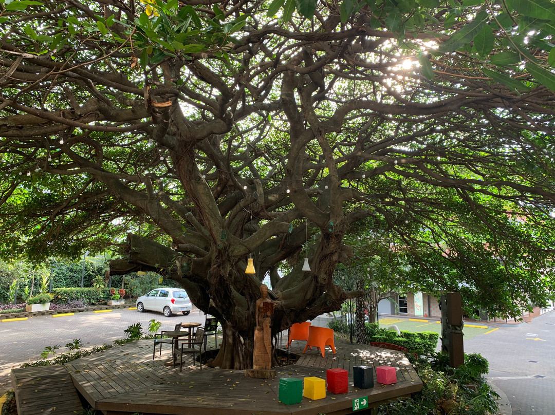 Studio Hotel Boutique主图