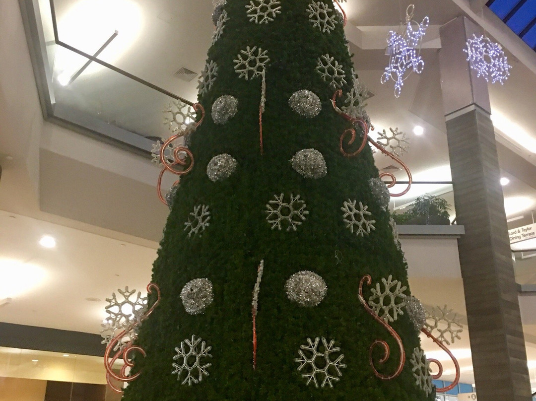 Westfield Trumbull Mall-特兰伯尔必去景点