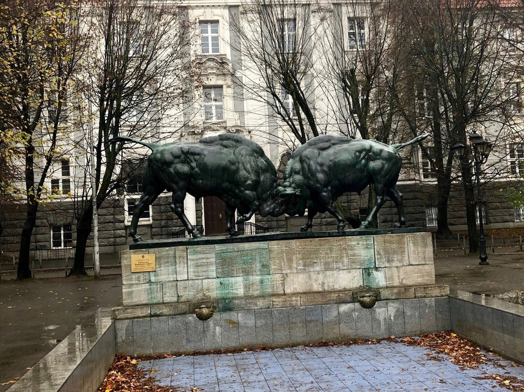 The Fighting Bulls-加里宁格勒必去景点