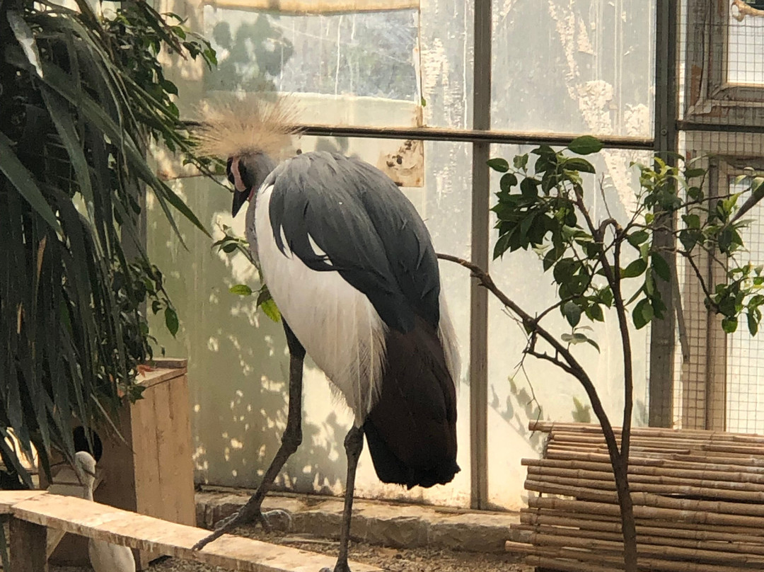Tehran Bird Garden景点图片