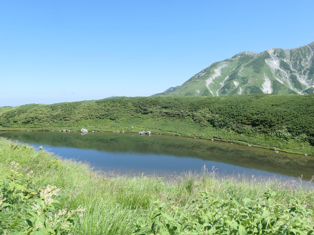 Midorigaike Pond景点图片