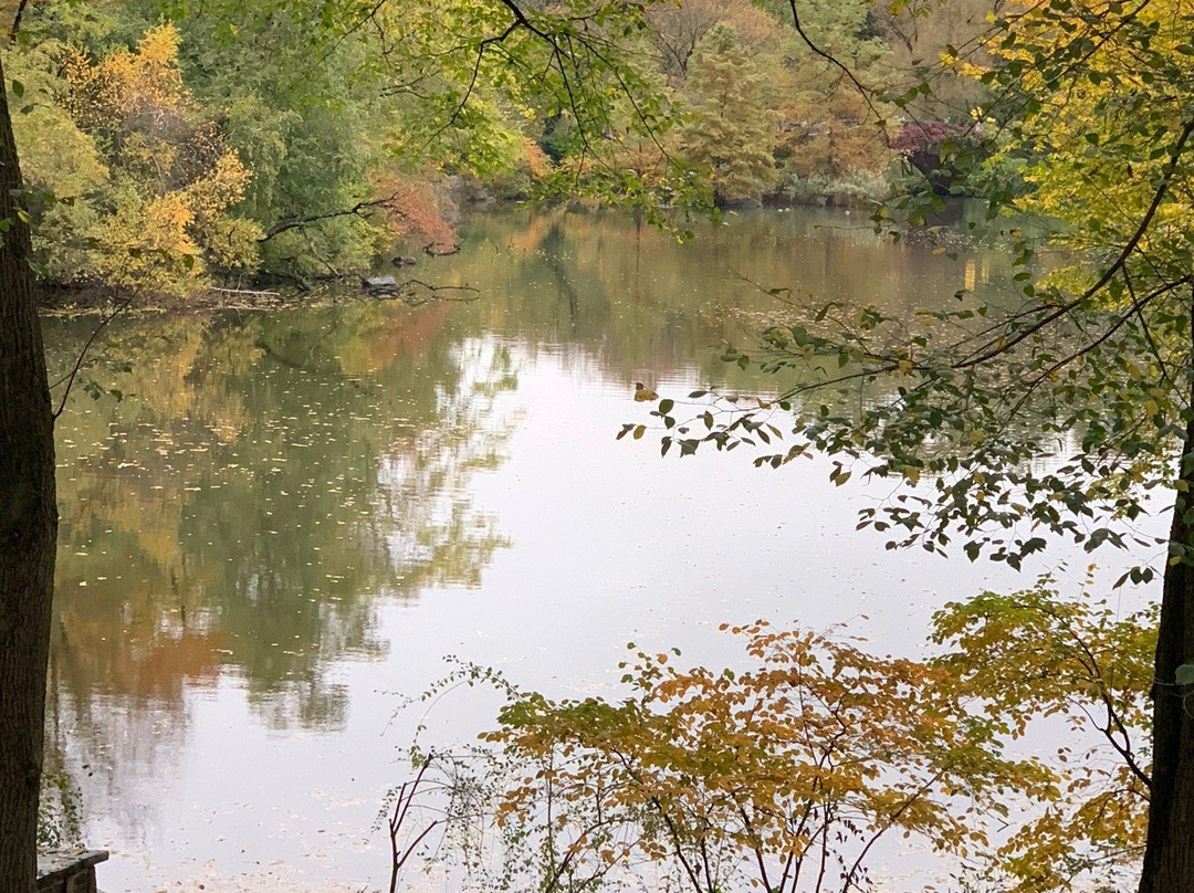 Gar Pond-White Springs必去景点