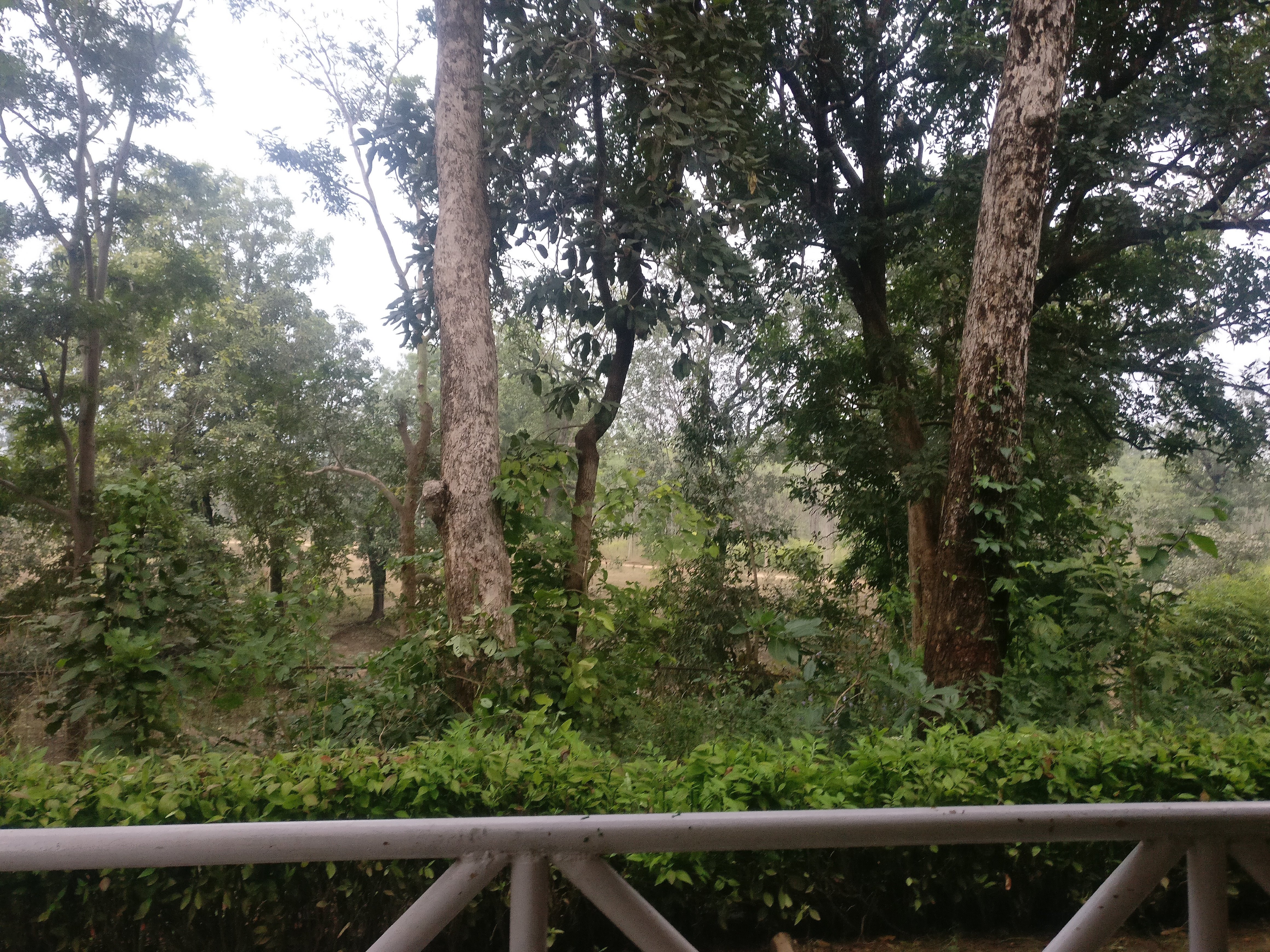 MPT Kiplings Court, Pench-酒店景观