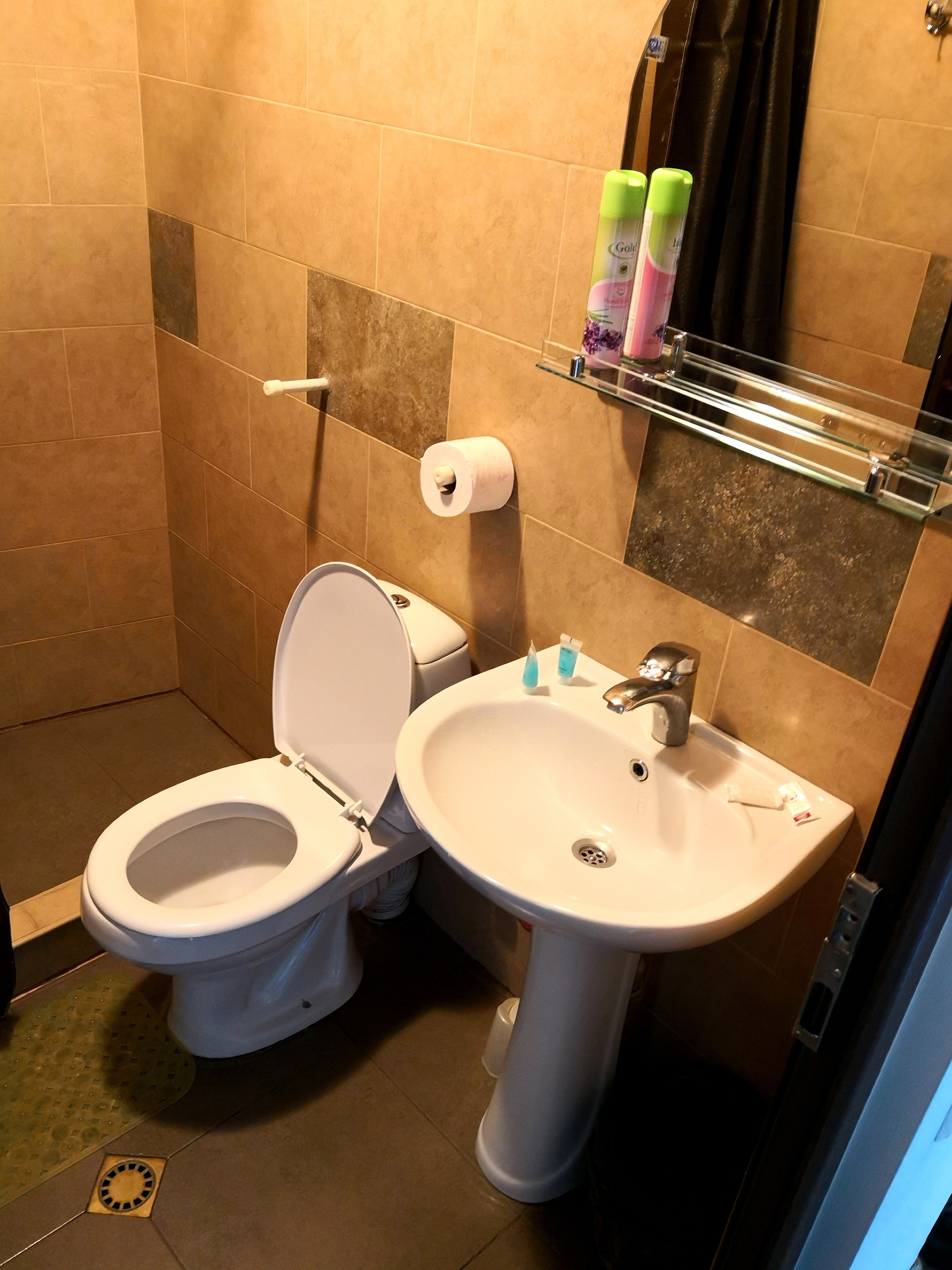 Hotel Kutaisi Globus-浴室