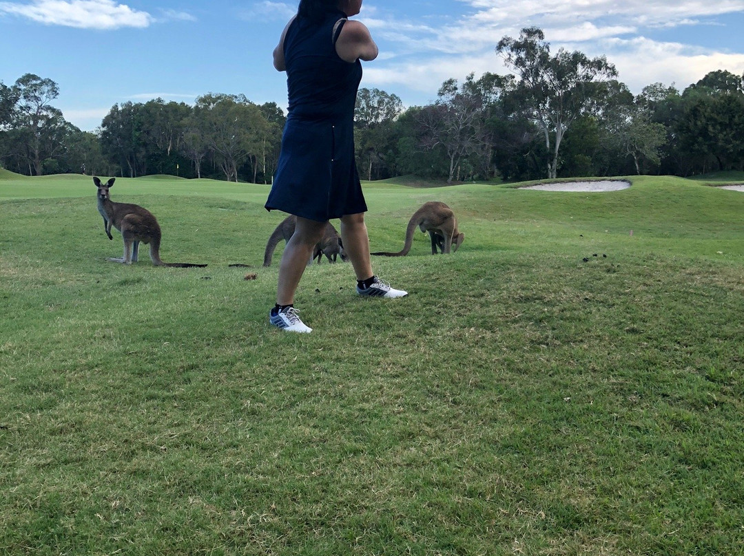 Twin Waters Golf Club景点图片