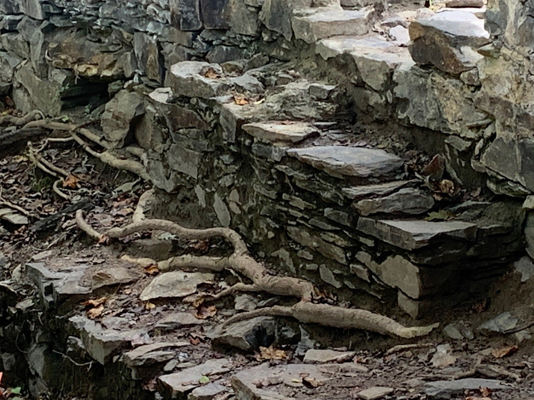 Sope Creek Trail-玛丽埃塔必去景点
