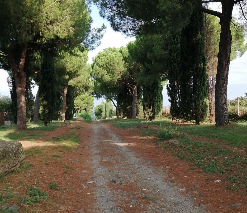 Appian Way (Via Appia Antica)-罗马必去景点