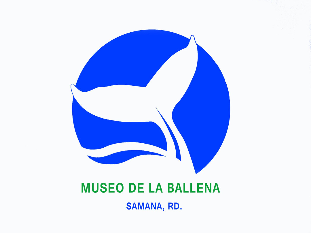Museo de la Ballena景点图片