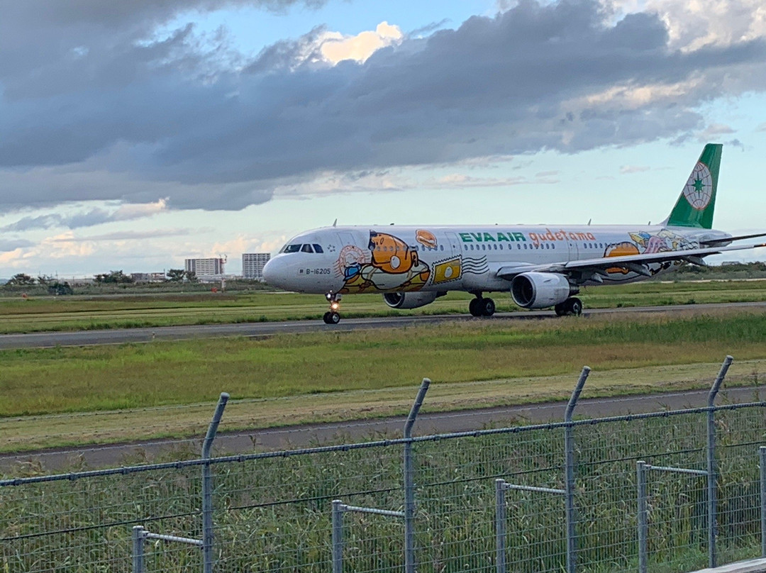 Sendai Airport Rinku Park-岩沼市必去景点