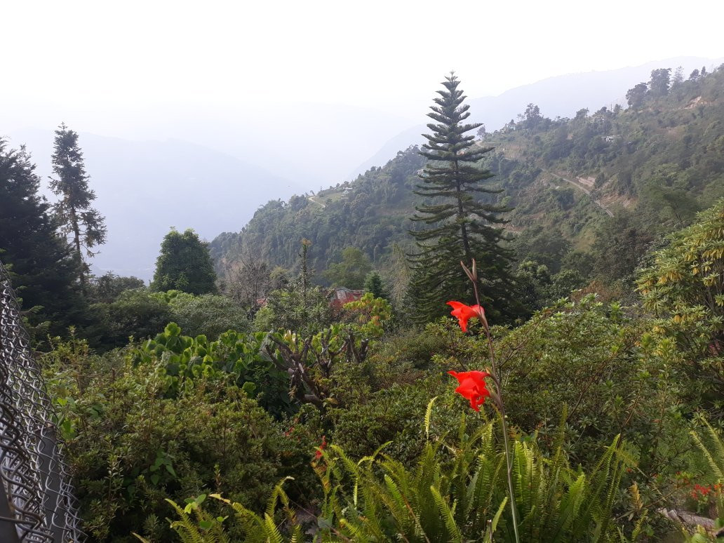 Rock Garden-Namchi必去景点
