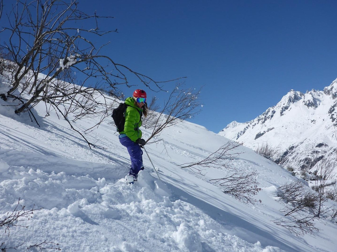 Ski Academy GmbH景点图片