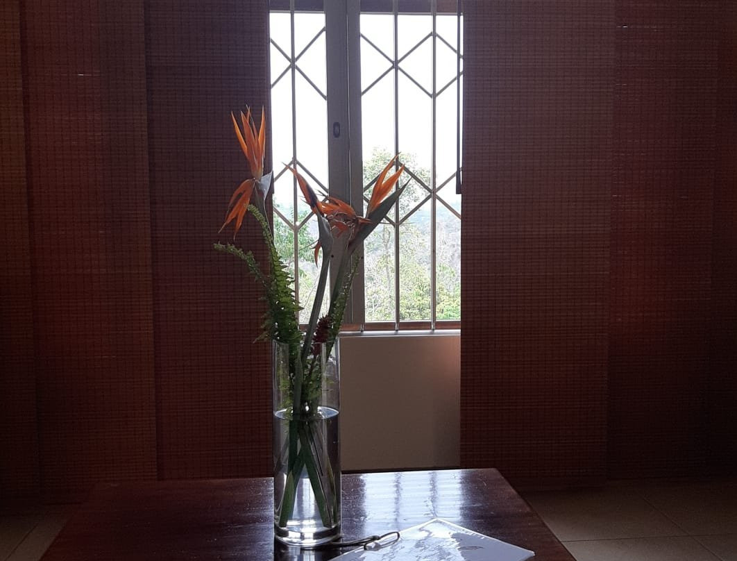 Cuckoo Ridge Country Retreat主图