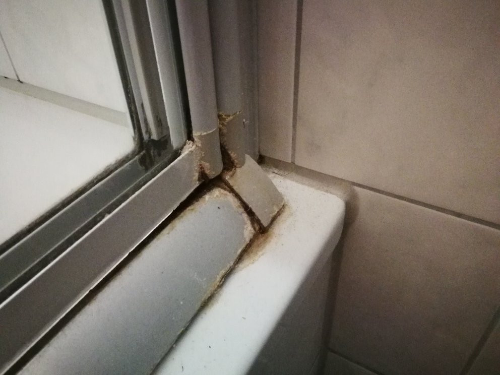 Zum treuen Bartel主图