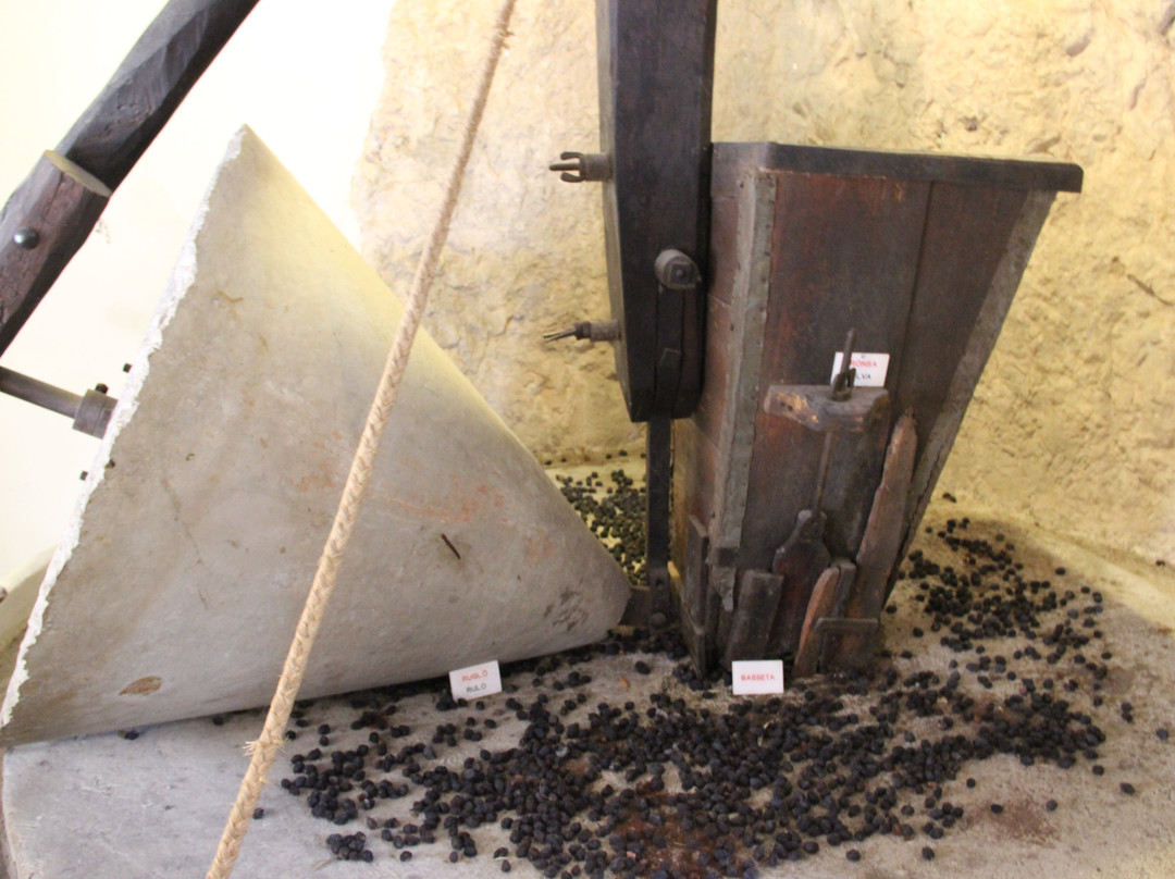 Museo Etnologico Casa tipica del siglo XVIII-瓜达莱斯特必去景点