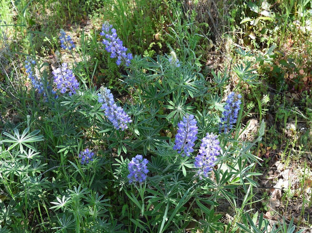 Get Out Of Town Tours-Milwaukie必去景点