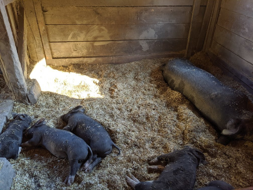 Muscoot Farm-Katonah必去景点