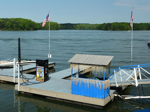 Denver旅游景点-The Blue Parrot Grill