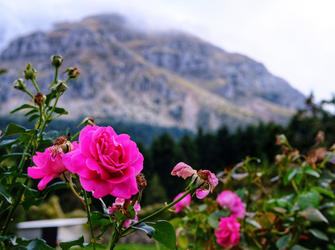 Orizontes Tzoumerkon Hotel Resort主图