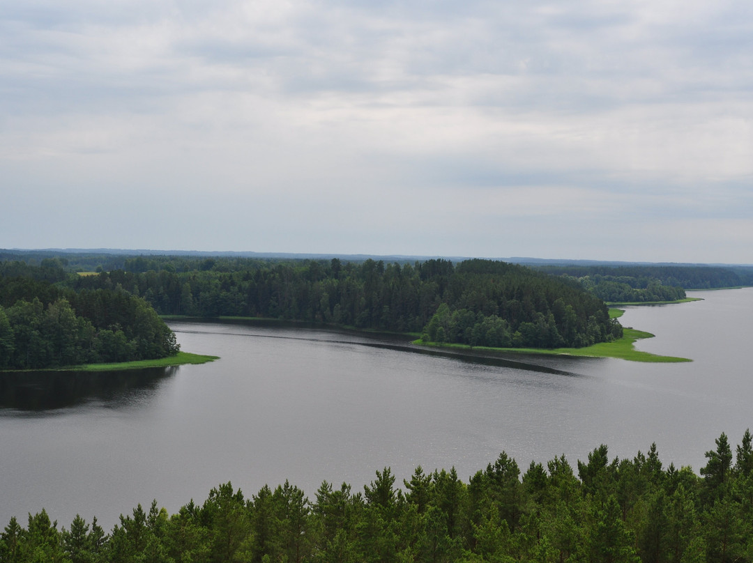 Sartai Lake Tower景点图片