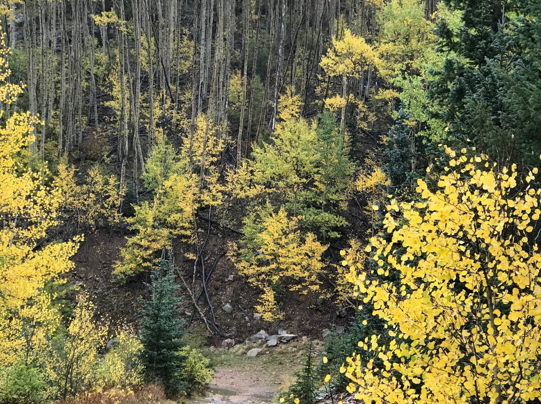 Aspen Vista Trail-圣菲必去景点