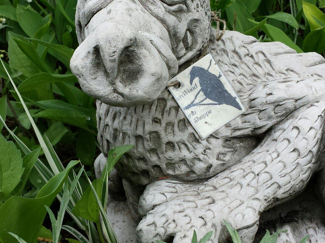 Ravenwood Curio Shoppe