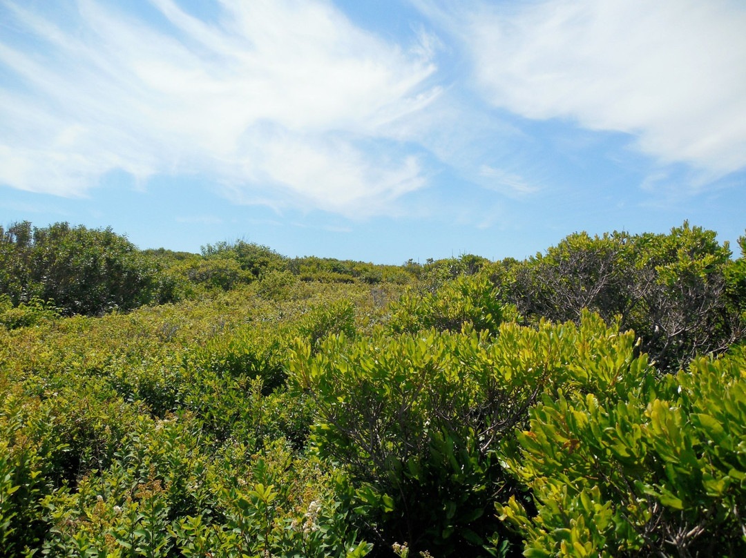 Explore Appledore Island Cruise景点图片