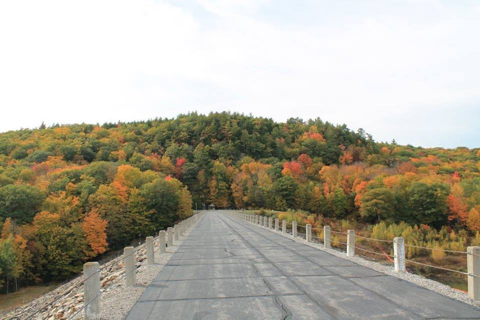 Clough State Park景点图片