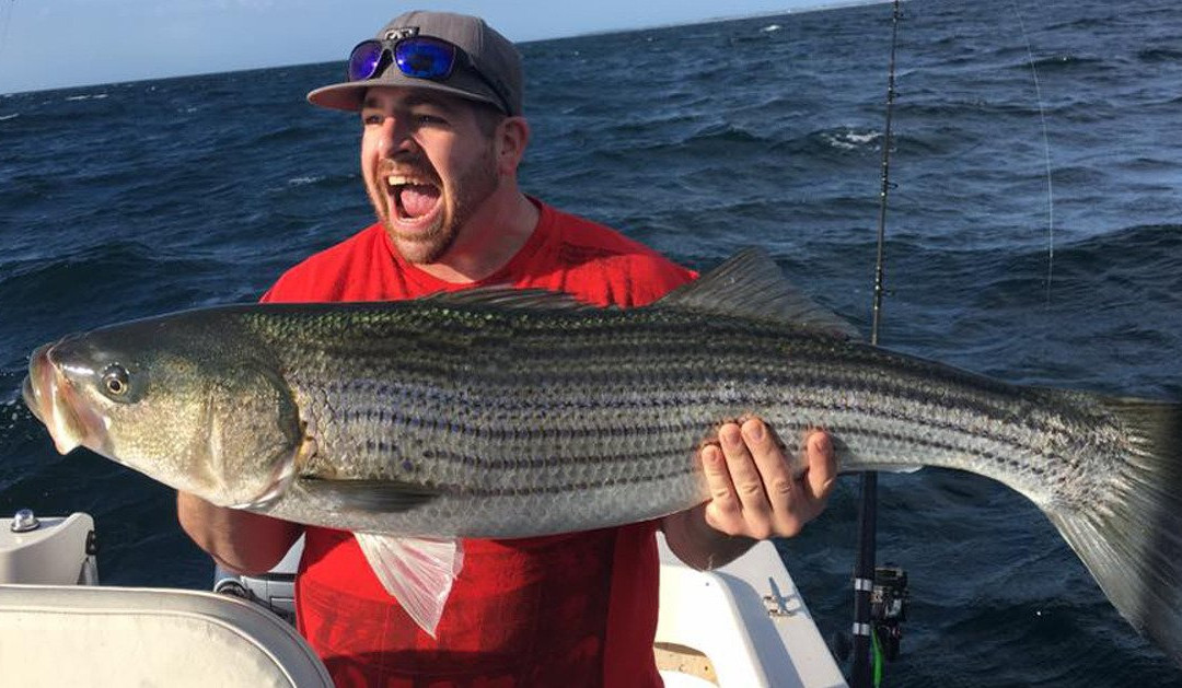 Zen Charters-查塔姆必去景点