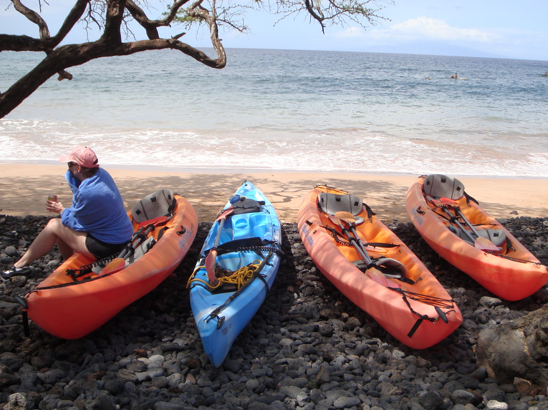Maui Kayaks景点图片