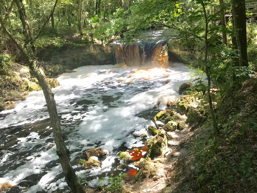 Falling Creek Falls景点图片